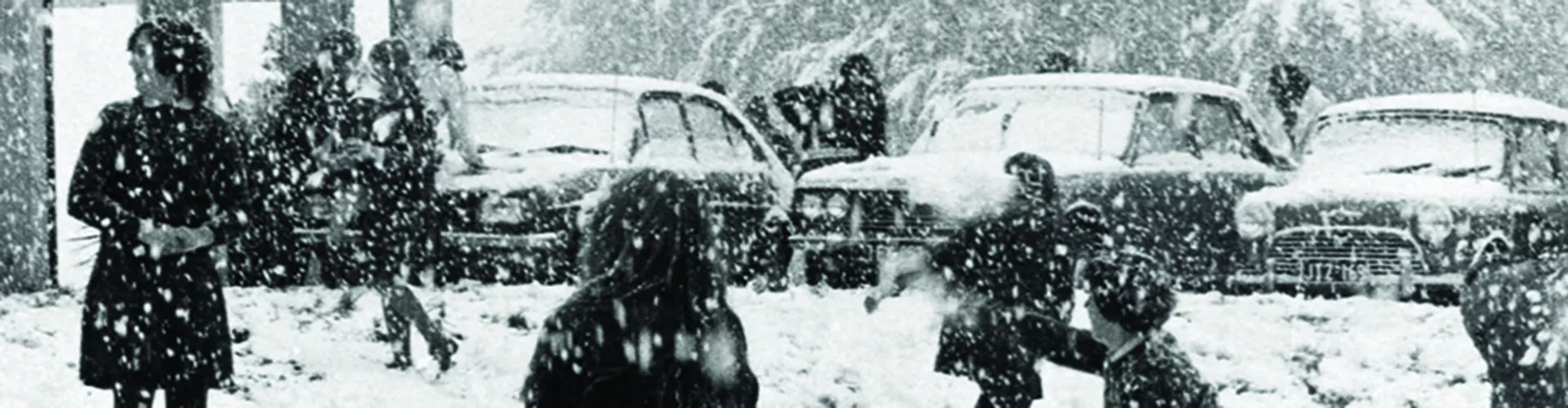 banner-image